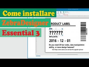 COME INSTALLARE ZEBRA DESIGNER ESSENTIAL 3