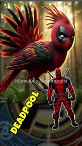 Superhero but Birds of paradise💥 Marvel DC #marvel #dc #superhero #spiderman #Birdsofparadise