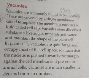 VacuolesVacuoles are commonly found in plant cells) These are ... | Filo