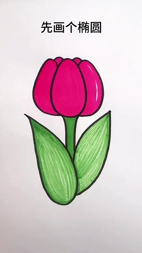 Easy Tulip Drawing Tutorial For Children