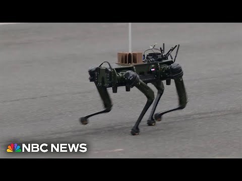 Drones and robotic dogs represent the future of the Army at military parade