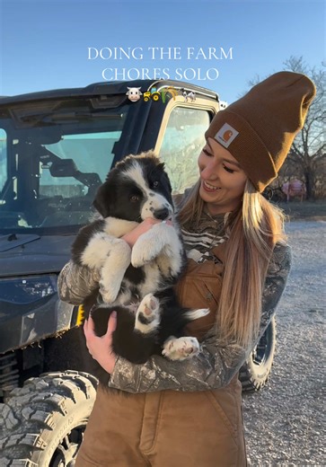 From Jelly hoping in the feed bunk, to the calf getting out, to forgetting my axe and my noodle arms.. this vlog was an interesting one 🫣😂 #farmchores #farmgirl #farmtok #cattlefarm #highlandcows