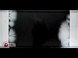 EXTRA MINUTES - SUPERBBUGS (Harvard Experiment explained)