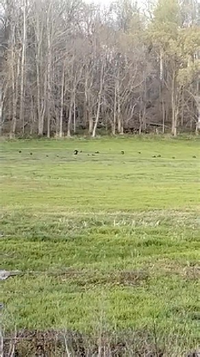 David Butler on Reels