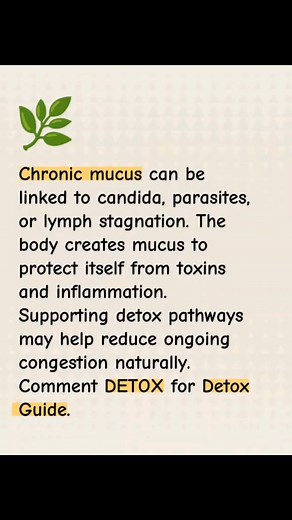 13K views · 79 reactions | Chronic mucus can be linked to candida, parasites, or lymph stagnation. The body creates mucus to protect itself from toxins and inflammation. Supporting detox pathways may help reduce ongoing congestion naturally. Comment DETOX for Detox Guide. #liverdetox #candida #detoxyourbody #detoxify #parasitecleanse | Detox Naturally | Facebook