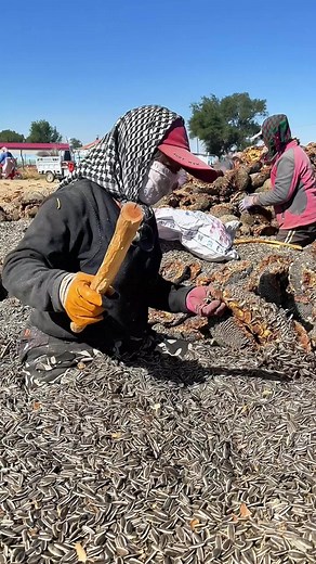 OMG 1 minute 😱 !! #asmr #fruit #fruits #fyp #fypシ