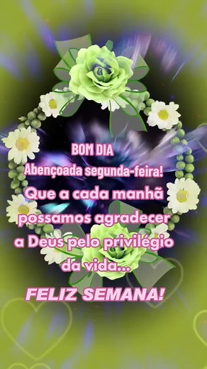 Stunning Floral Animation: Roses and Daisies Showcase