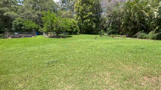 PLAYTIME!! 🥳 | Uncle Mick’s Pet Check-ins, Pack Plays & Dog Walking