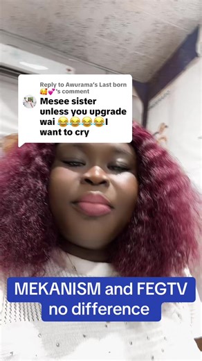 Exploring Mekanism: A Comprehensive Overview