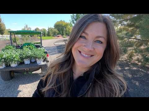 Planting 3 Varieties of Penstemon + Baking Chicken Pot Pie Hot Pockets! 🌿🪴🥐