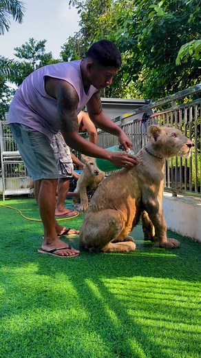 134K views · 1.7K reactions | Paligo naman muna tayo ngayon凉 | Jun Palomar | Facebook