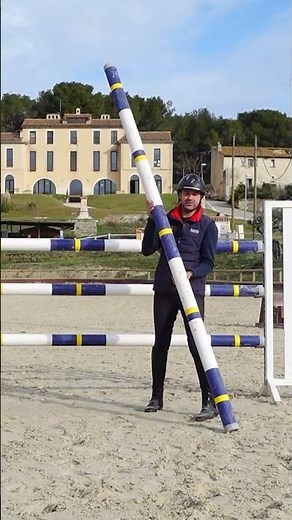TIPS saut d'obstacles #cheval #jumping