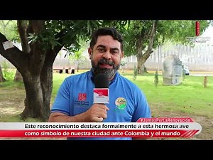 ACTUALIDAD UFPS | Oficialización del pájaro "Toche" como ave emblemática de Cúcuta