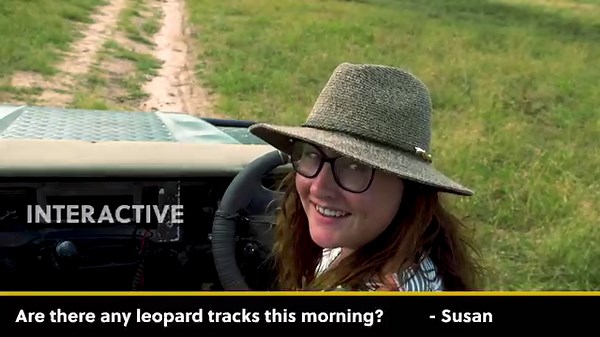 Jump onboard a LIVE real-time African safari as WildEarth launches on Peoples Weather on Openview, channel 115, tomorrow! WildEarth is on a mission to connect even more people to nature by extending our Sunrise Safari to a new audience. #wildearth #peoplesweather #openview115 #sunrisesafari | Wildearth