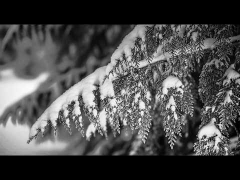 4K Giant Snowflakes Falling ❄️ 3 Hours of Cinematic Winter with Ambient Music | Study & Relax