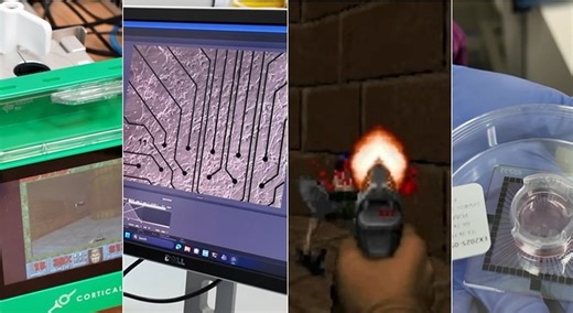 Cervelli umani "coltivati" in laboratorio imparano a giocare a Doom: la svolta del computer biologico CL1