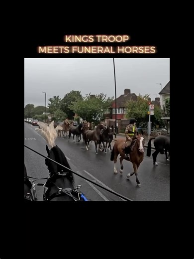 Kings Troop meets Jester & Joker - the beautifully well behaved Fresian Funeral Horses Sonny Hillier Horse Drawn Carriages . We took a look back over last years most popular videos, and one of the top views was when these two lovely lads met up with the King's Troop. #kingshorses #funeral #funeralhorses #foru #fresian