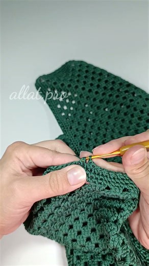 The Nearest Crochet Border (Sc2tog, Ch1) Edging Tutorial