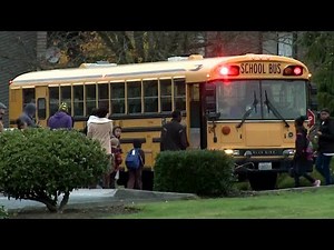 Bus Drivers, School Career Video