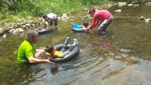 Have a fun time! | HK Forest Adventures