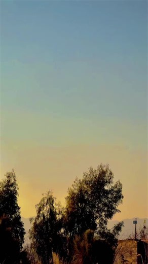 Mooz Sara Chy Garze Mazy Kawaaa…?🫵👊😡💪#fielderlovers #fieldersong #brandcarsowner🤙 #brand #wolf