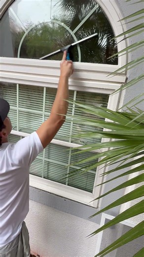 IES Does Window Cleaning! #pressurewashing #satisfying #windowcleaning