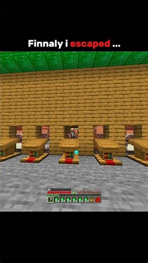POV: finally you escaped the slavery