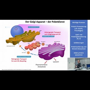 TB1 - Vorlesung Zellbiologie Scheller - WS 2025/2026 - Einführung in die Zellbiologie aus Sicht der Biochemie - Teil 2