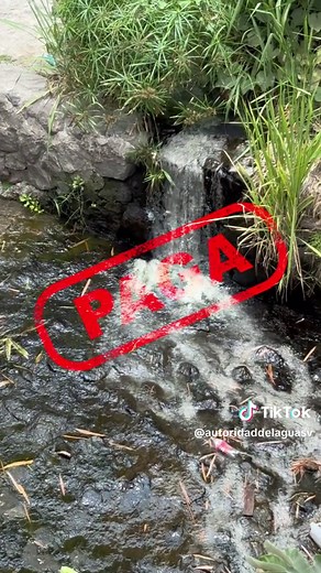 Investigación de Contaminación del Agua en El Salvador