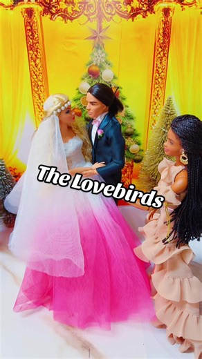 The lovebirds #Barbie #Ken #Wedding #ToyPhotography #DioramaArtist