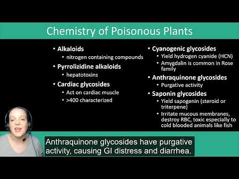 Injurious Plants: Common Toxidromes and the Chemistry of Plant Poisons