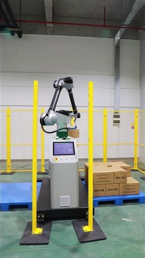 Introducing the WP-20 Collaborative Palletizing Robot Workstation
