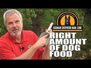 German Shepherd feeding measurements AND my dogs HOWLING!!!