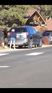 Texas Bone Hunters on Reels