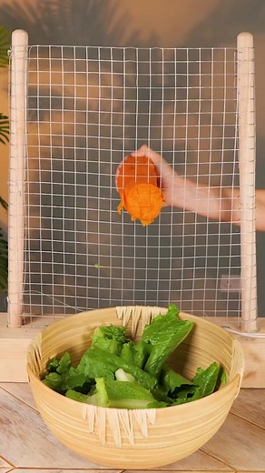 53K views · 242 reactions | Master the plants game as a true gardener  | 5-Minute Crafts Green | Facebook