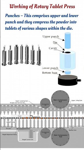 Working of Rotary Tablet Press ll Tablets making #pharmacy #pharmaceutical #viral