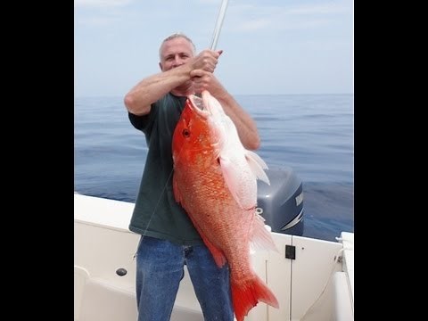 HUGE Red Snapper! One of the biggest on YouTube! Bottom fishing on Independence day