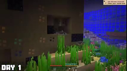 9K views · 199 reactions | I Survived 100 Days as a FISH in Minecraft I hope you all enjoyed! #minecraft #minecraftmemes #minecraftpe #minecraftbuilds #gaming | Maizen | Facebook