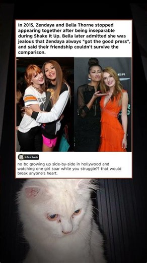 Bella Thorne Finally Revealed Why Her Friendship With Zendaya Ended 💔