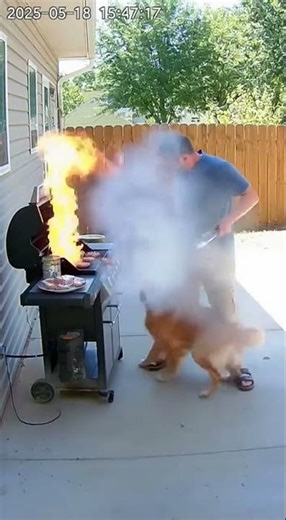 Dog Saves Man From BBQ Explosion — Real-Life Hero!