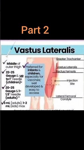 intramuscular injection site || vastus lateralis #part2 #youtubeshorts #vastuslateralis