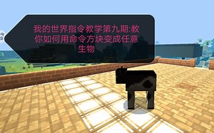 我的世界指令教学第九期:教你如何使用命令方块变成任意生物。