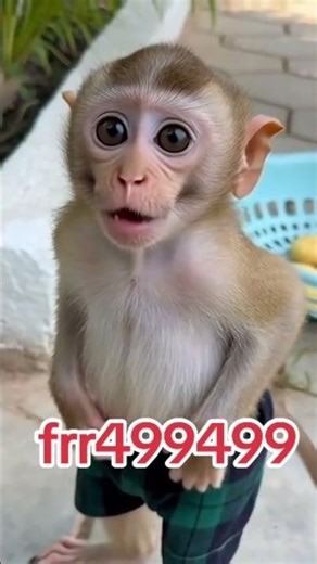 temu coupon code 2026