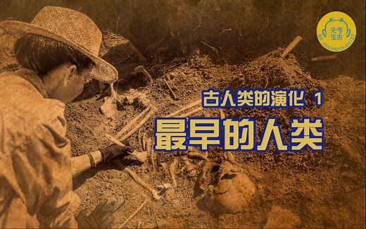 上课 ｜ 古人类的演化 1 - 最早的人类