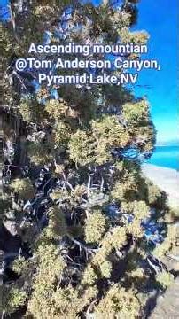 climbing mountians at Pyramid Lake, Nevada