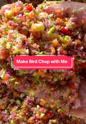 Homemade Bird Food Recipe: Make Healthy Bird Chop