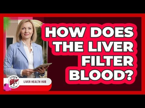 How Does the Liver Filter Blood?