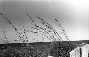 The Exakta VX1000 - A Left Handers Dream? - Aly’s Vintage Camera Alley