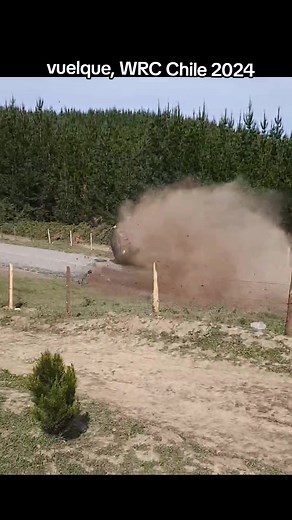 Rally Chile #fyp #rallychile #wrc #rally