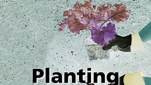 Baby Einstein - Baby MacDonald - A Day on the Farm in G Major